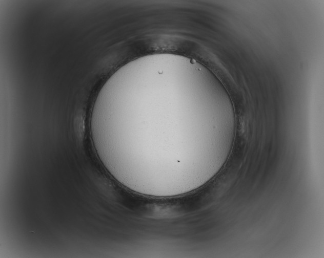 X0000089360733200706291041