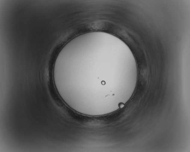 X0000089360734200706291041