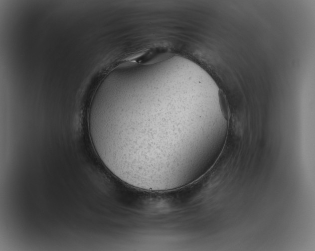 X0000089360735200706291041