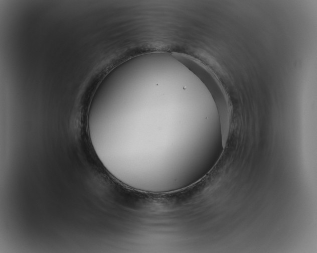 X0000089360736200706291041