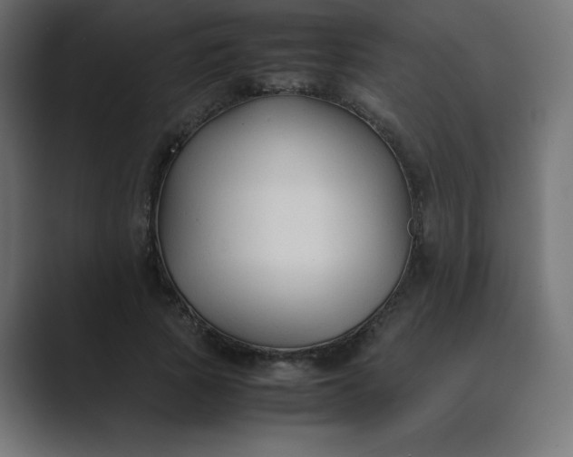 X0000089360737200706291041