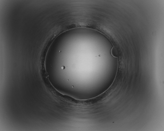 X0000089360738200706291041