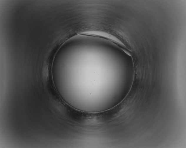 X0000089360740200706291041