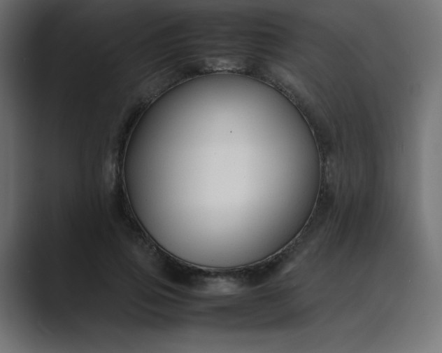 X0000089360741200706291041