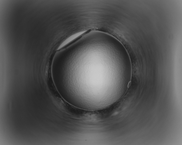 X0000089360742200706291041