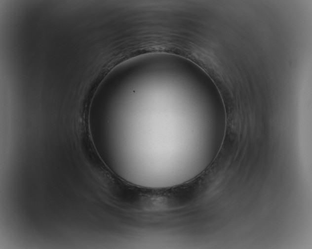 X0000089360743200706291041