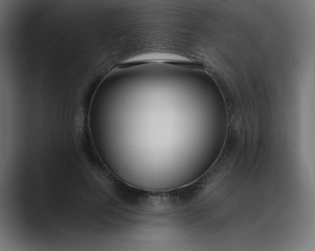 X0000089360744200706291041