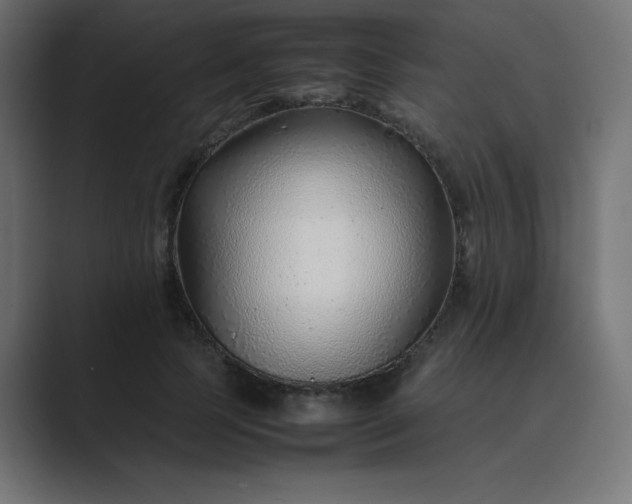 X0000089360745200706291041