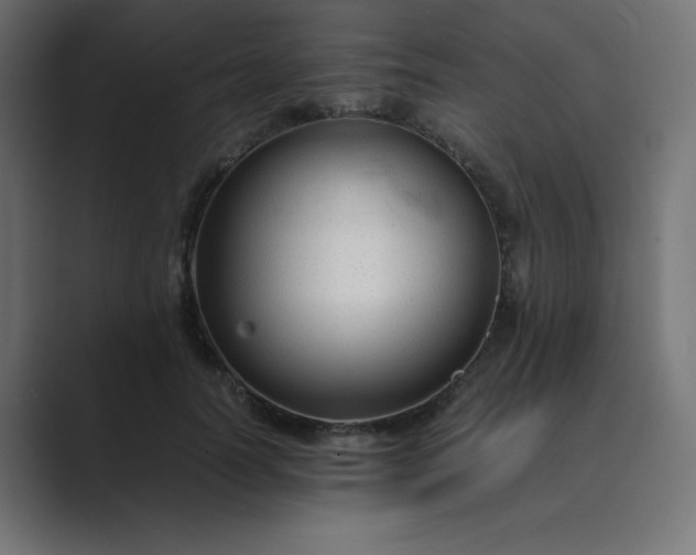 X0000089360746200706291041