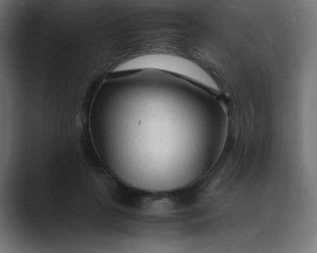 X0000089360747200706291041