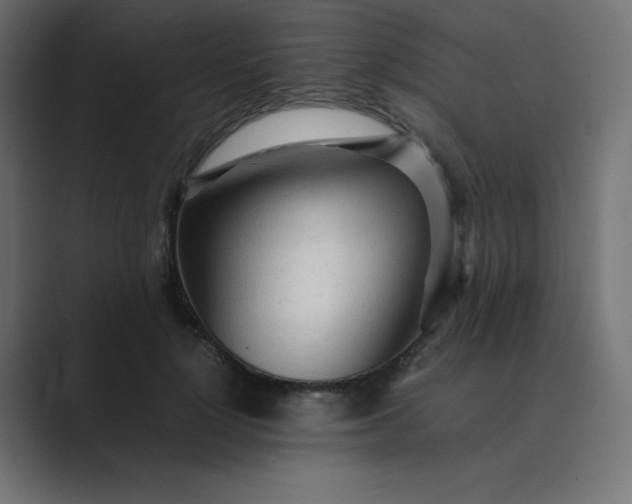 X0000089360748200706291041