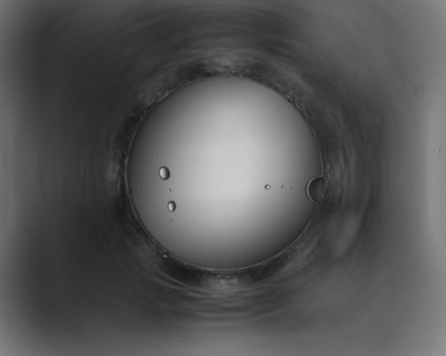 X0000089360749200706291041