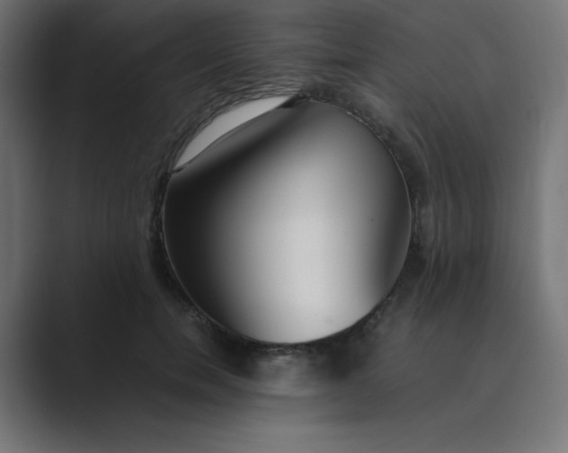 X0000089360750200706291041