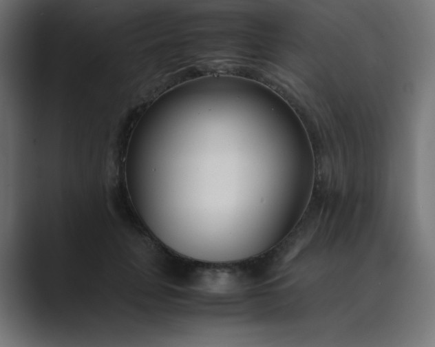 X0000089360751200706291041