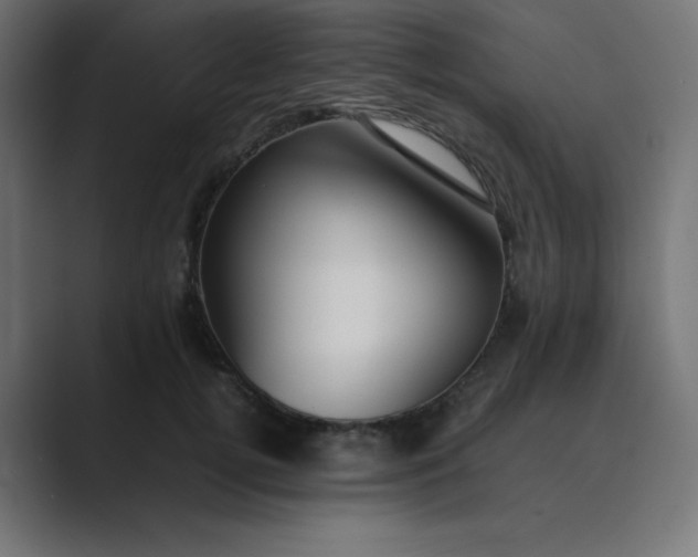 X0000089360752200706291041