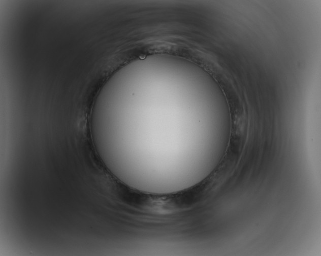 X0000089360753200706291041