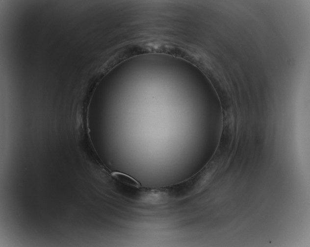 X0000089360754200706291041