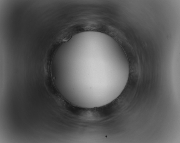 X0000089360755200706291041