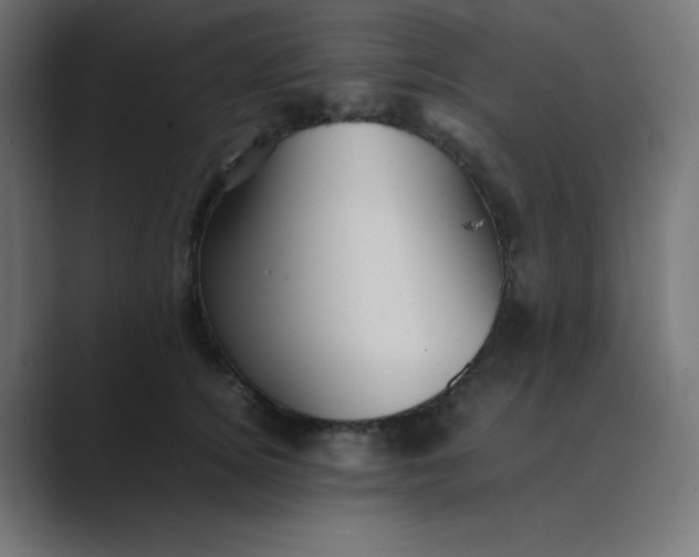 X0000089360756200706291041