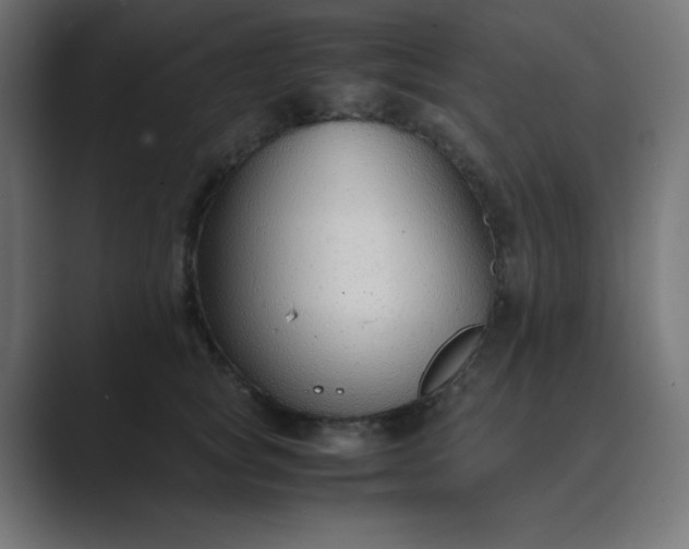 X0000089360757200706291041