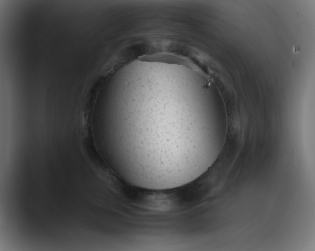 X0000089360759200706291041