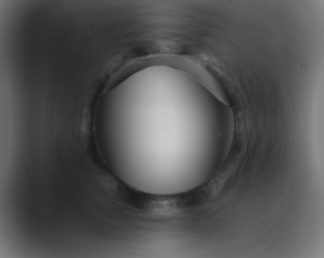 X0000089360760200706291041