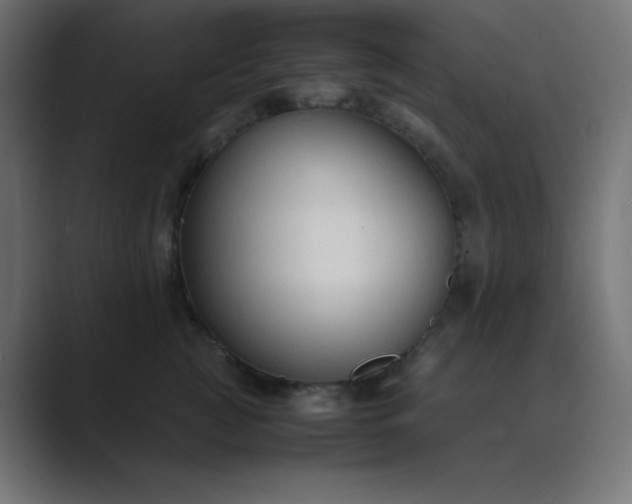 X0000089360761200706291041