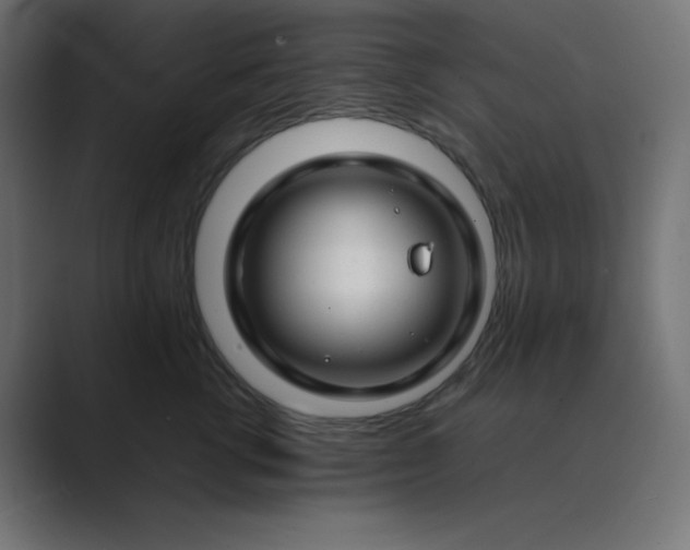 X0000089360762200706291041