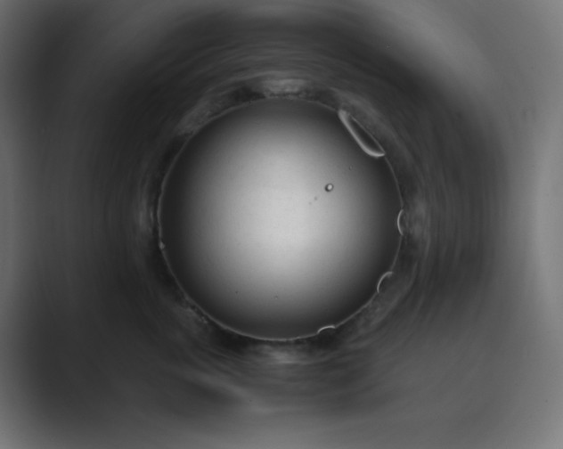 X0000089360763200706291041