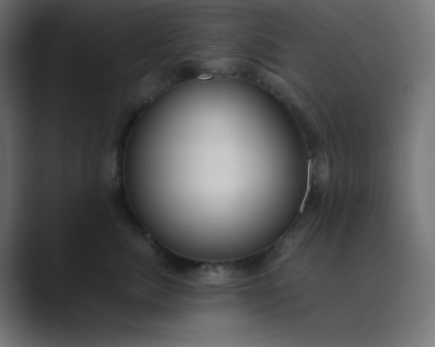 X0000089360764200706291041