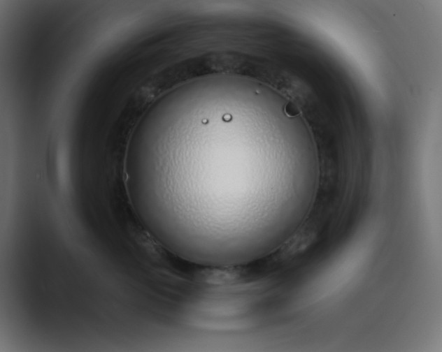 X0000089360765200706291041