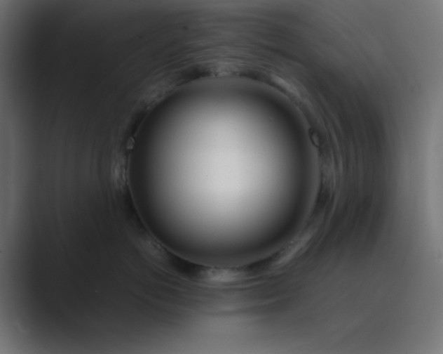 X0000089360766200706291041