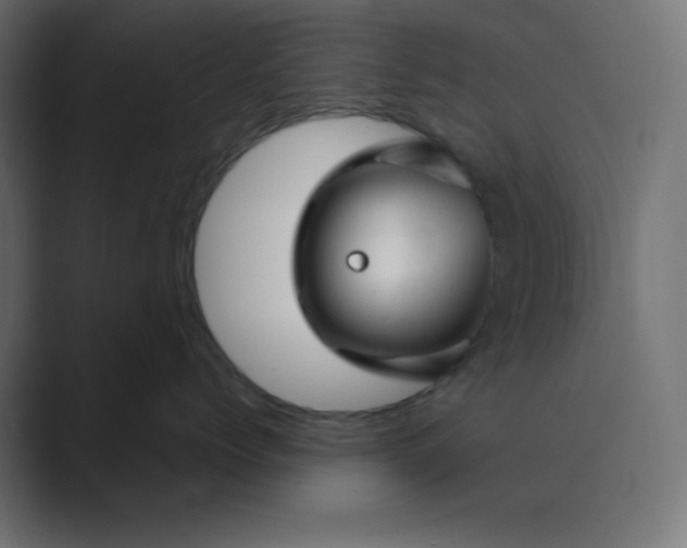 X0000089360768200706291041