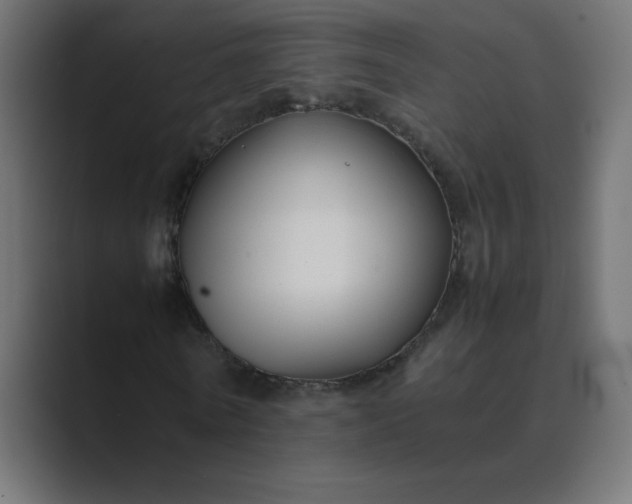 X0000089360770200706291041