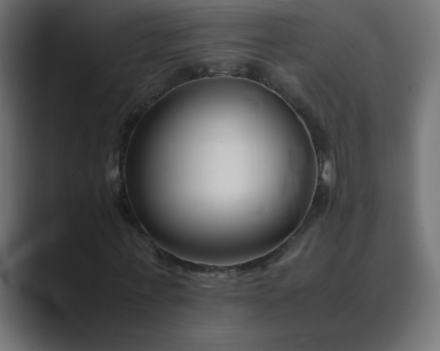 X0000089360771200706291041