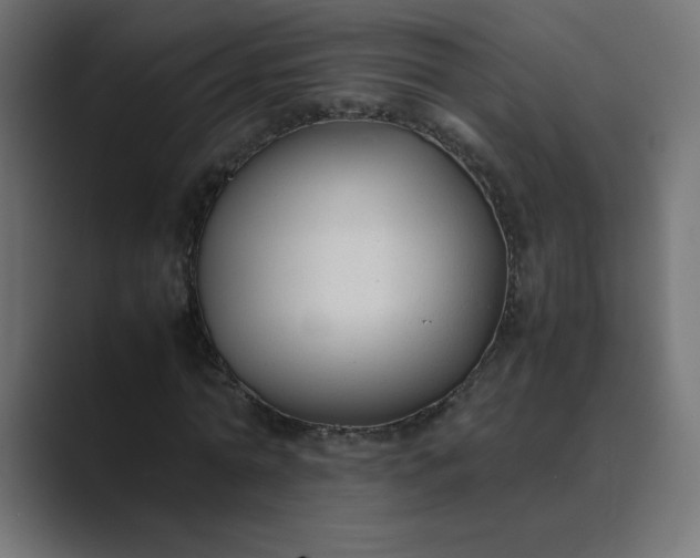 X0000089360774200706291041