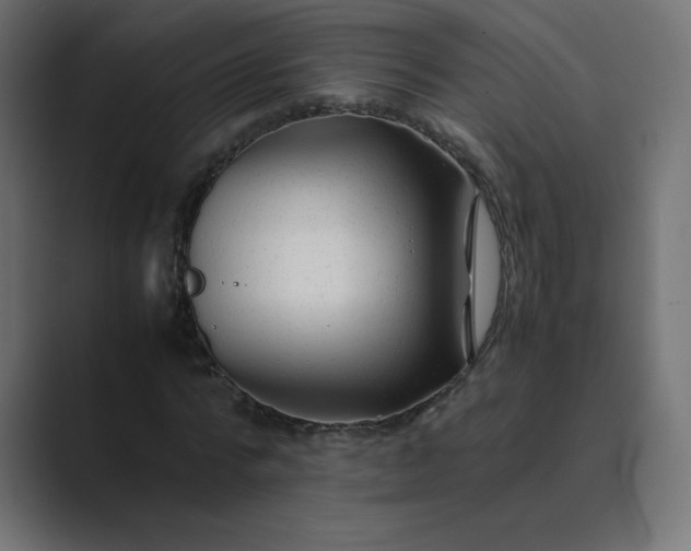 X0000089360776200706291040