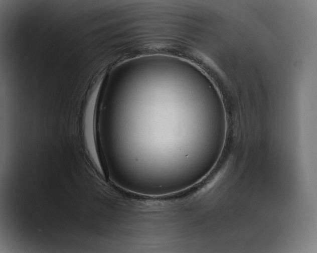 X0000089360777200706291040