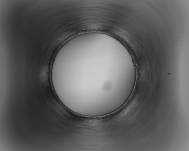 X0000089360778200706291040