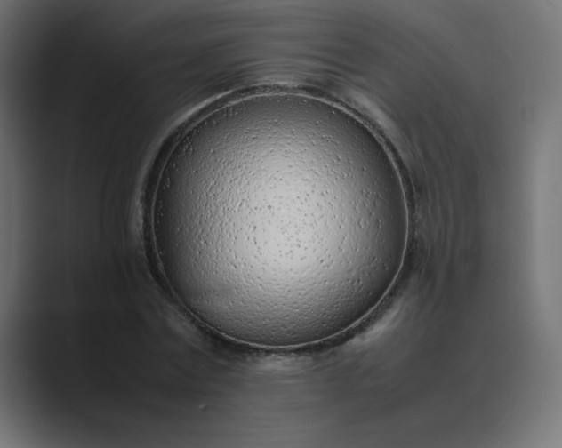 X0000089360779200706291040