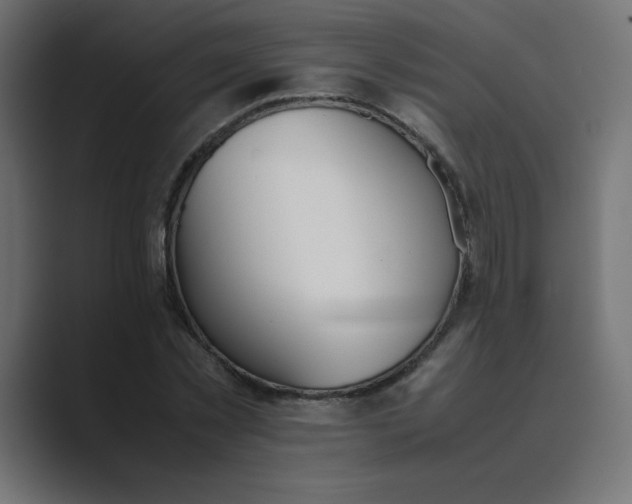 X0000089360781200706291040