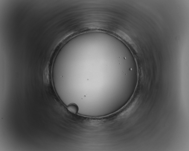 X0000089360782200706291040