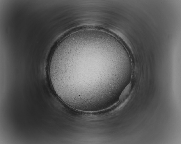 X0000089360783200706291040