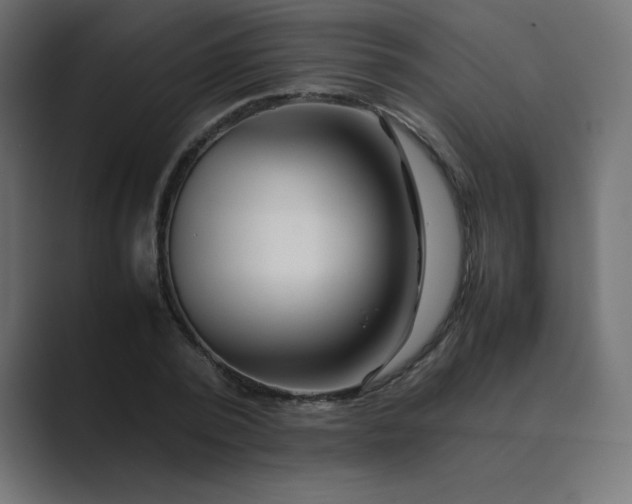 X0000089360784200706291040