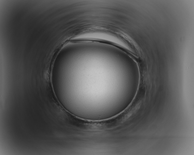 X0000089360785200706291040