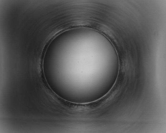 X0000089360786200706291040