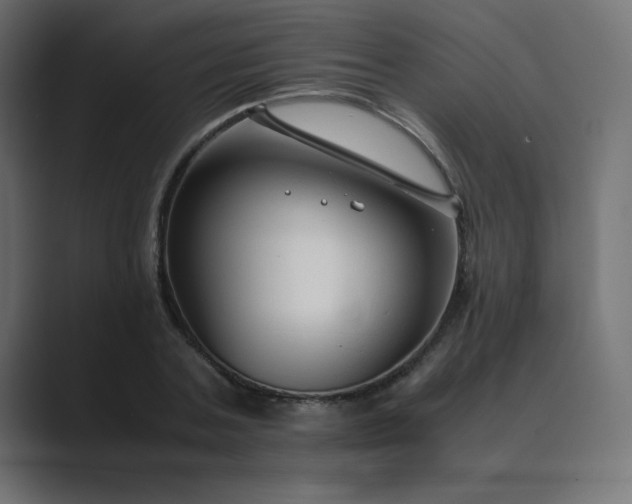 X0000089360787200706291040