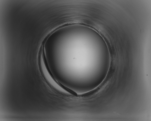 X0000089360789200706291040