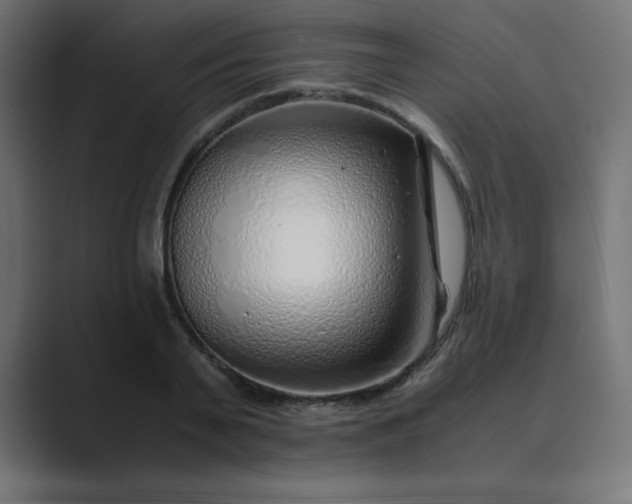 X0000089360791200706291040