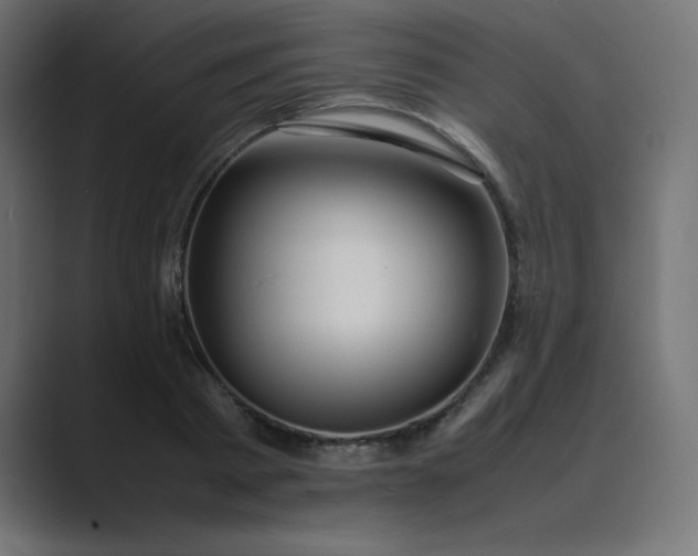 X0000089360793200706291040